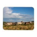 Suche nach prarie magnete Bauernhof