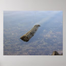 Suche nach floating kunst Natur