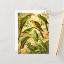 Suche nach parakeets postkarten Tropisch