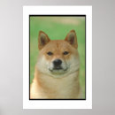 Suche nach shiba inu kunst poster Hund
