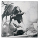 Suche nach stier fliesen Rodeo