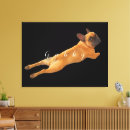 Suche nach große leinwandbilder Foto