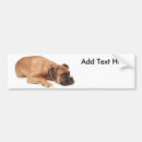 Suche nach stillstehen Tiere