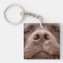 Suche nach labrador schlüsselanhänger Niedlich
