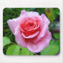 Suche nach schöner garten mousepads Rose