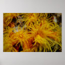 Suche nach korallen poster Sommer