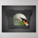 Suche nach regal poster Natur