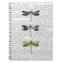 Suche nach libelle Blatt