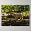 Suche nach jagt poster Jagd