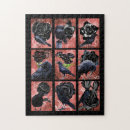 Suche nach der rabe puzzle Vögel