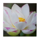 Suche nach brunnen fliesen Georgia