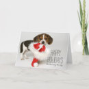 Suche nach beagle puppy postkarten Animal