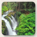 Suche nach niemand untersetzer Regenwald