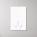 Suche nach rückgrat poster Biologie