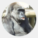 Suche nach gorilla aufkleber Lustig
