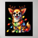 Suche nach reindeer poster Lustig
