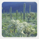 Suche nach organ aufkleber Flora