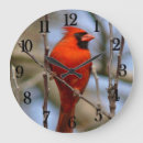 Suche nach cardinal poster Nature