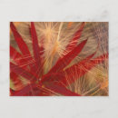 Suche nach getreide poster Rot