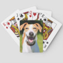 Suche nach lustige hunde spielkarten Glücklich