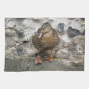 Suche nach lustige vögel geschirr tücher Bezaubernd