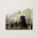 Suche nach schwarze schafe puzzle Niedlich