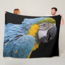 Suche nach papagei decken Vogel