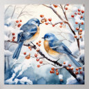 Suche nach vogel im winter poster Aquarell