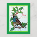 Suche nach holly postkarten Vogelvogel