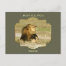 Suche nach afrikanischer löwe poster Cat