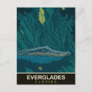 Suche nach florida alligator postkarten Natur