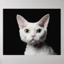Suche nach weiße augen poster Tiere
