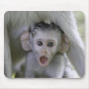 Suche nach tierkopf mousepads Tiere im wilden