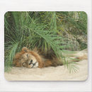 Suche nach süd mousepads Horizontal