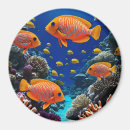 Suche nach orange fische magnete Tropisch