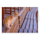 Suche nach jordanien postkarten Mittlerer osten