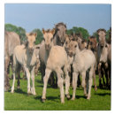 Suche nach herde fliesen Niedlich