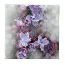 Suche nach fliedern fliesen Frühling