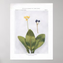 Suche nach multiregion poster Natur