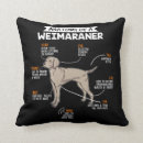 Suche nach weimaraner kissen Welpe