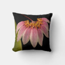 Suche nach orchidee mit blumen kissen Rosa blume