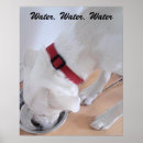 Suche nach trinkwasser poster Foto