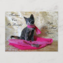 Suche nach torti postkarten Tortoiseshell