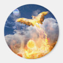 Suche nach steigen magnete Phoenix