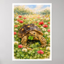 Suche nach niedliche schildkröte poster Schildkrötenkunst