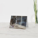 Suche nach katze in einem fenster karten Fotografie