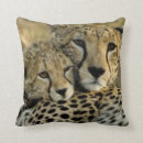 Suche nach savanne kissen Natur