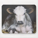 Suche nach heu mousepads Tiere