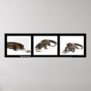 Suche nach salamander kunst Natur