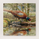 Suche nach fasan puzzle Natur